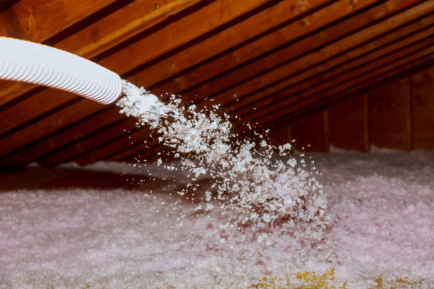 Best DIY Insulation Kits and Guidance in Eagle Grove, IA